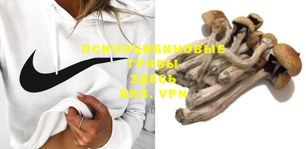 шишки Алзамай