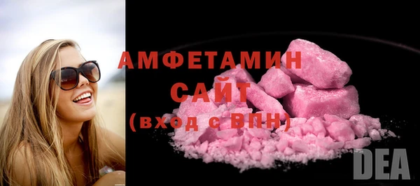 гидра Абаза