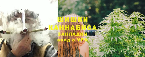 гидра Абаза