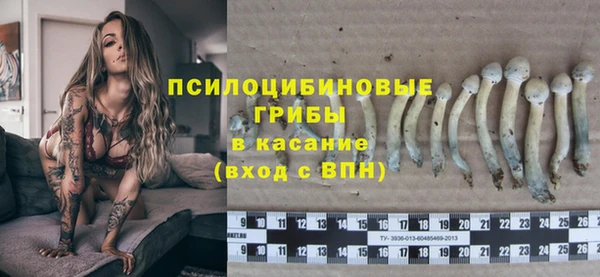 гидра Абаза