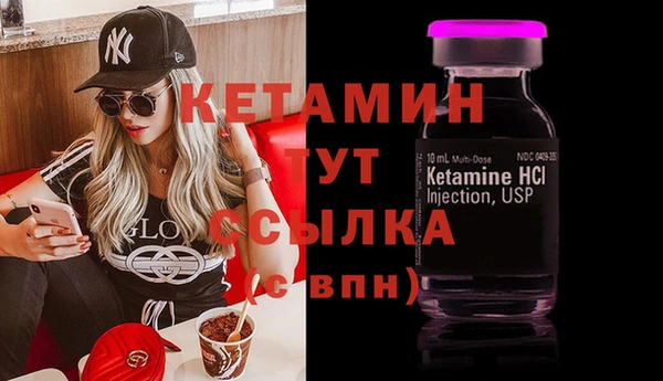 гидра Абаза