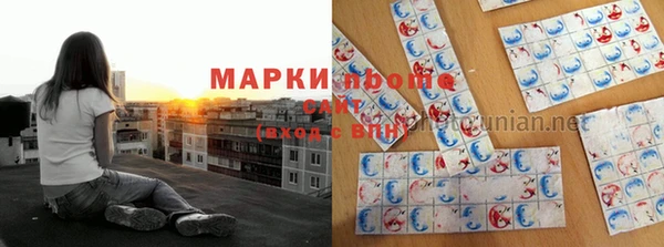 гидра Абаза